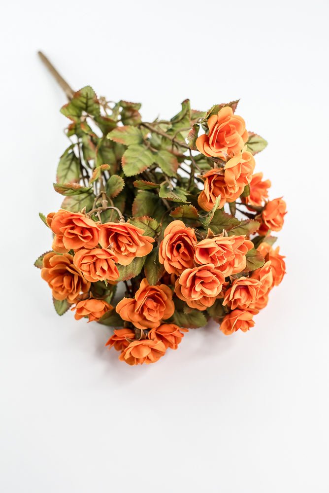 Mini Rose Bush - Orange - Greenery Market85206 - OR
