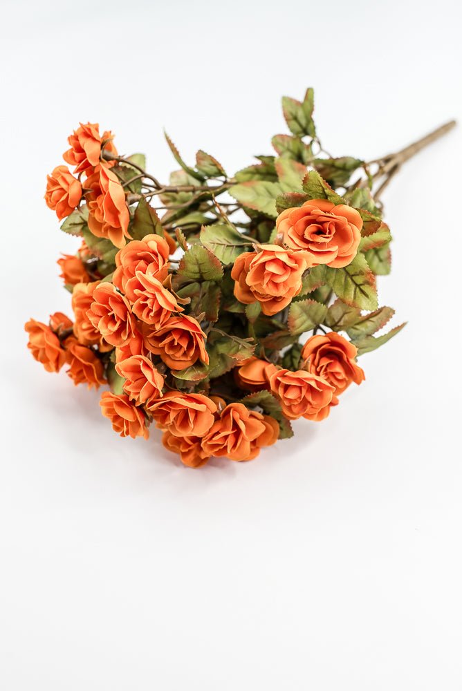 Mini Rose Bush - Orange - Greenery Market85206 - OR