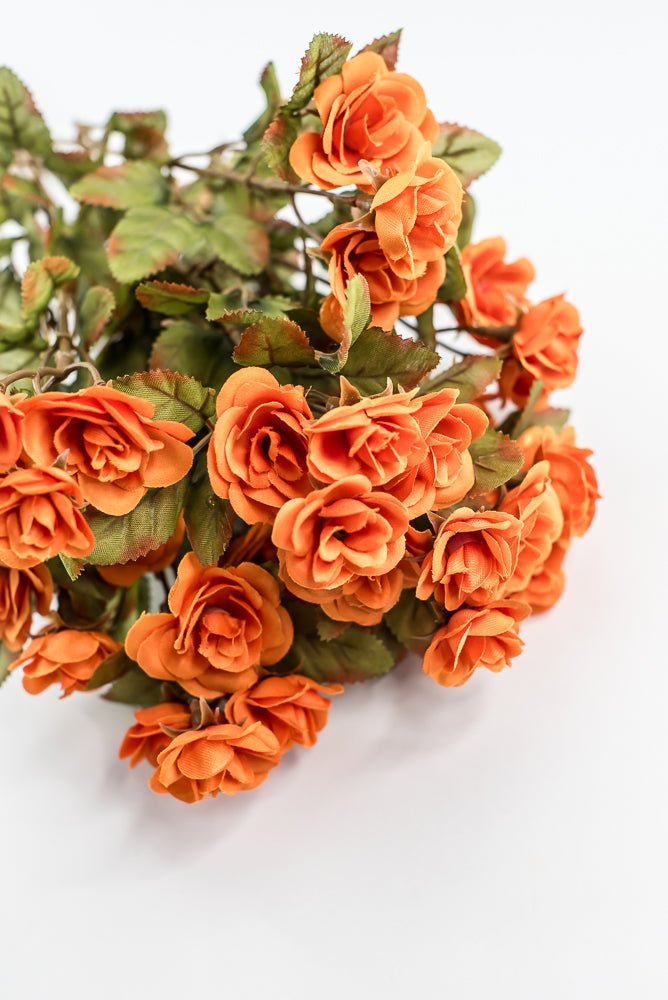 Mini Rose Bush - Orange - Greenery Market85206 - OR