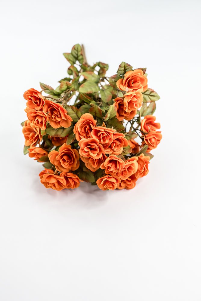 Mini Rose Bush - Orange - Greenery Market85206 - OR