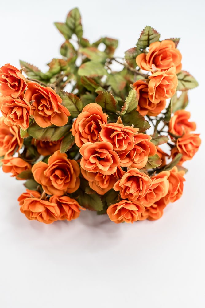 Mini Rose Bush - Orange - Greenery Market85206 - OR