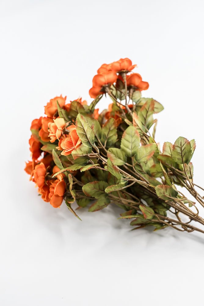 Mini Rose Bush - Orange - Greenery Market85206 - OR