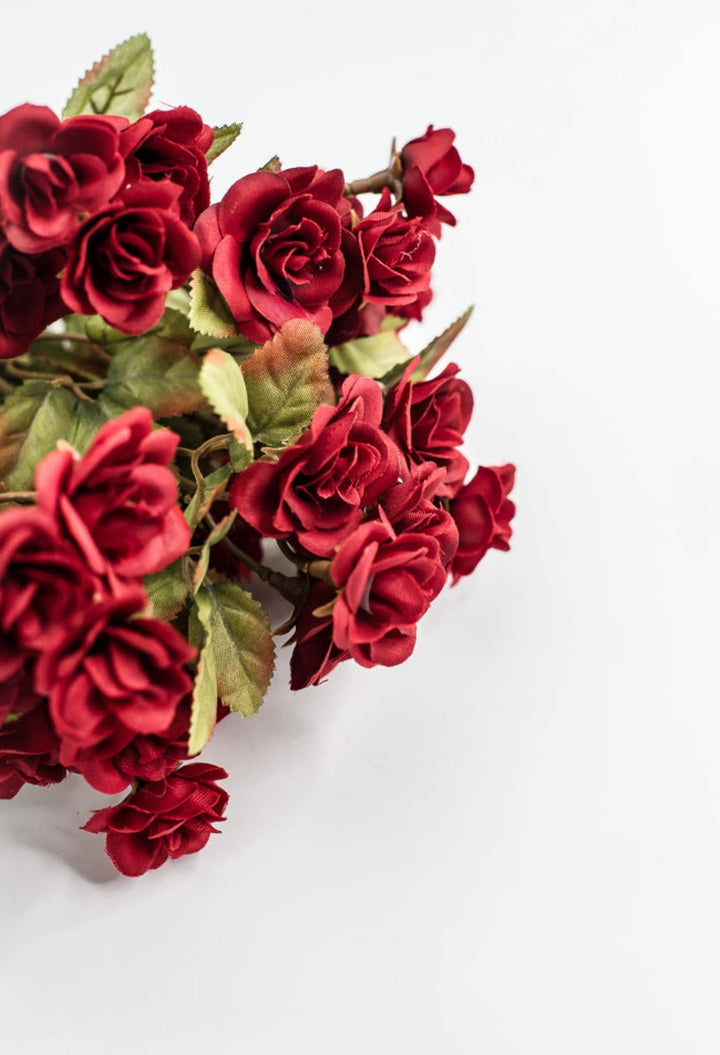 Mini Rose Bush - Red - Greenery Market85206 - RD