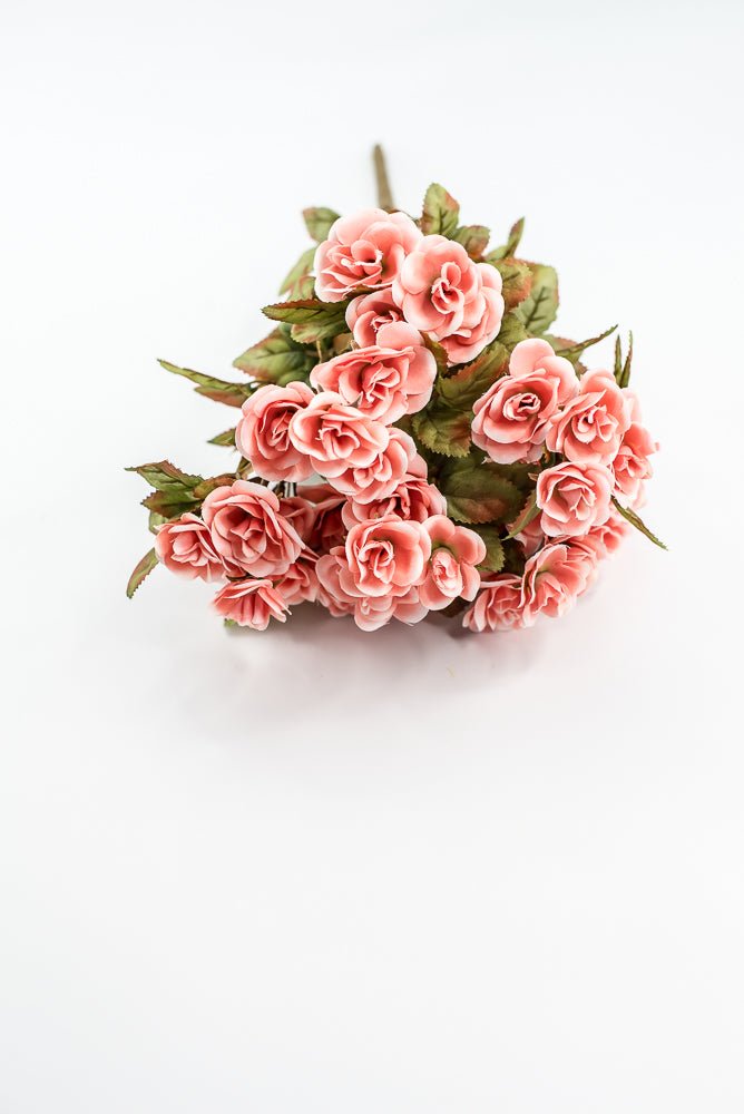 Mini Rose Bush - Salmon - Greenery Market85206 - CORAL