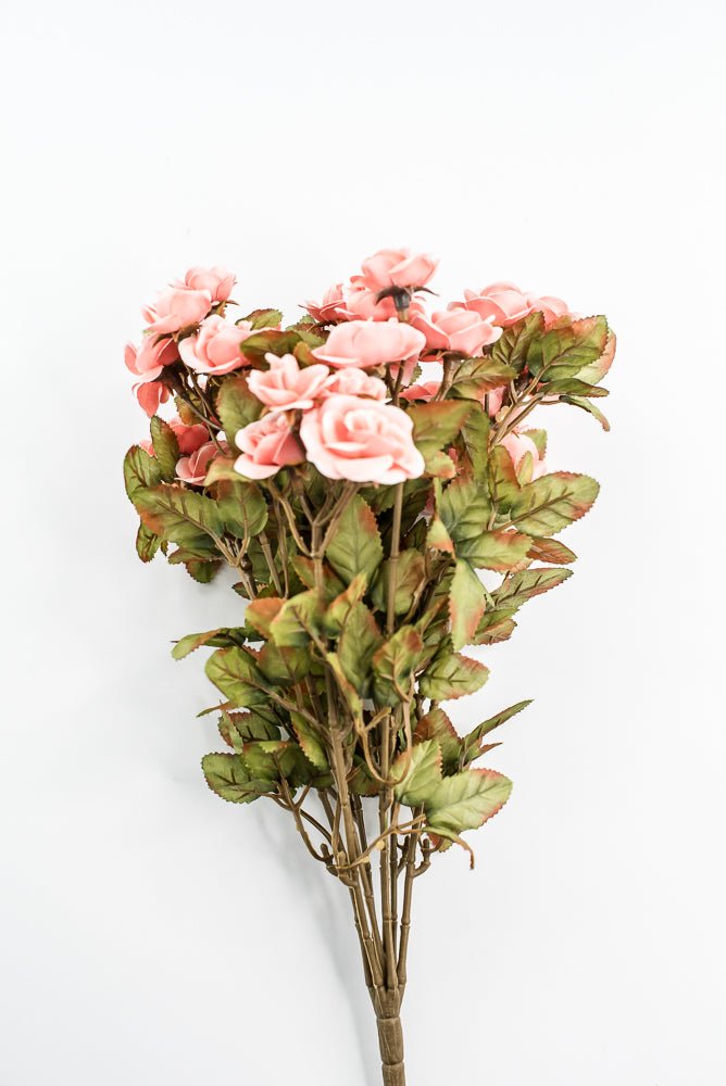 Mini Rose Bush - Salmon - Greenery Market85206 - CORAL