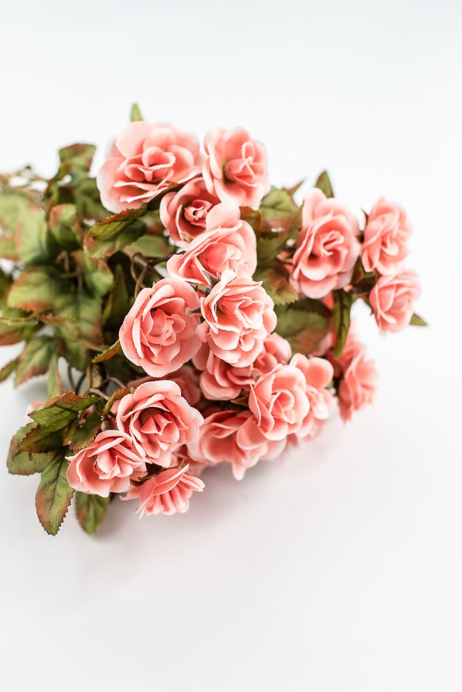 Mini Rose Bush - Salmon - Greenery Market85206 - CORAL