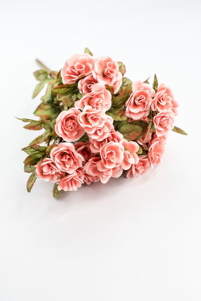 Mini Rose Bush - Salmon - Greenery Market85206 - CORAL