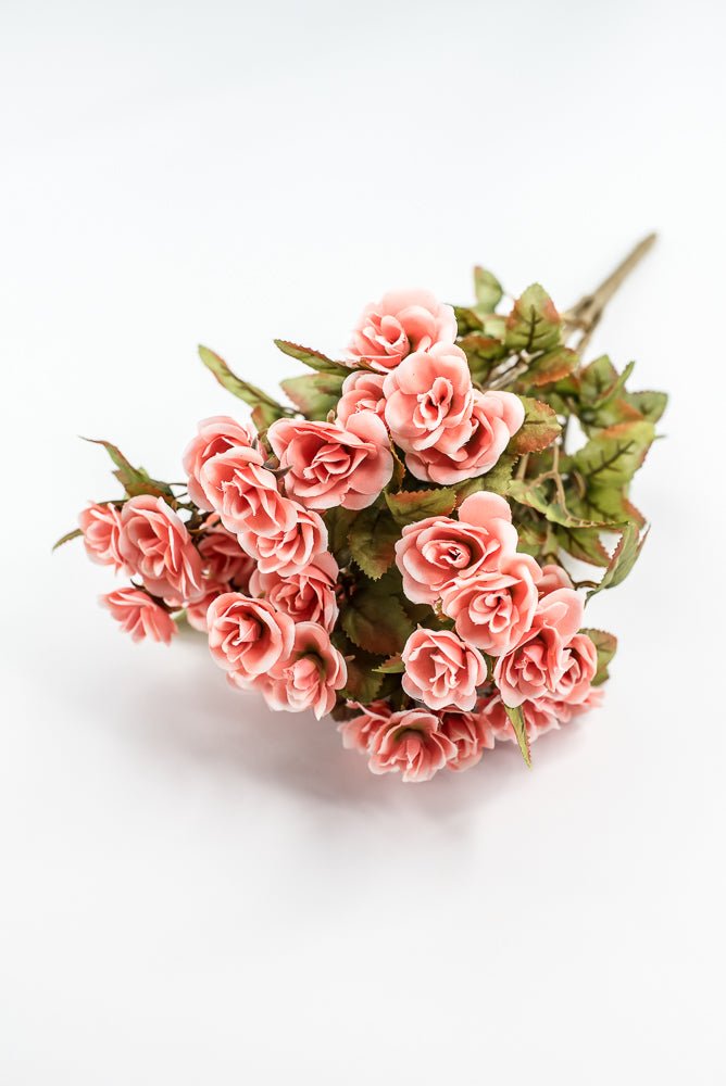 Mini Rose Bush - Salmon - Greenery Market85206 - CORAL