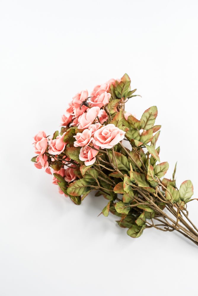 Mini Rose Bush - Salmon - Greenery Market85206 - CORAL