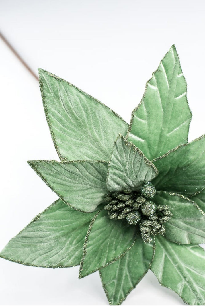Mint green velvet poinsettia stem - Greenery MarketXS408774