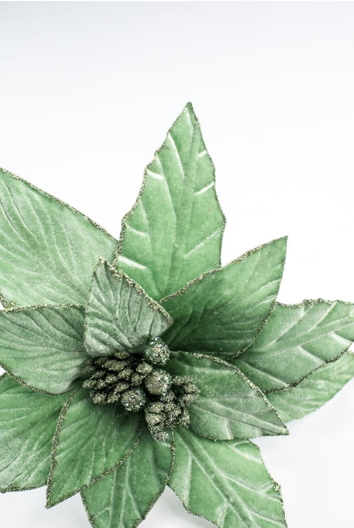 Mint green velvet poinsettia stem - Greenery MarketXS408774