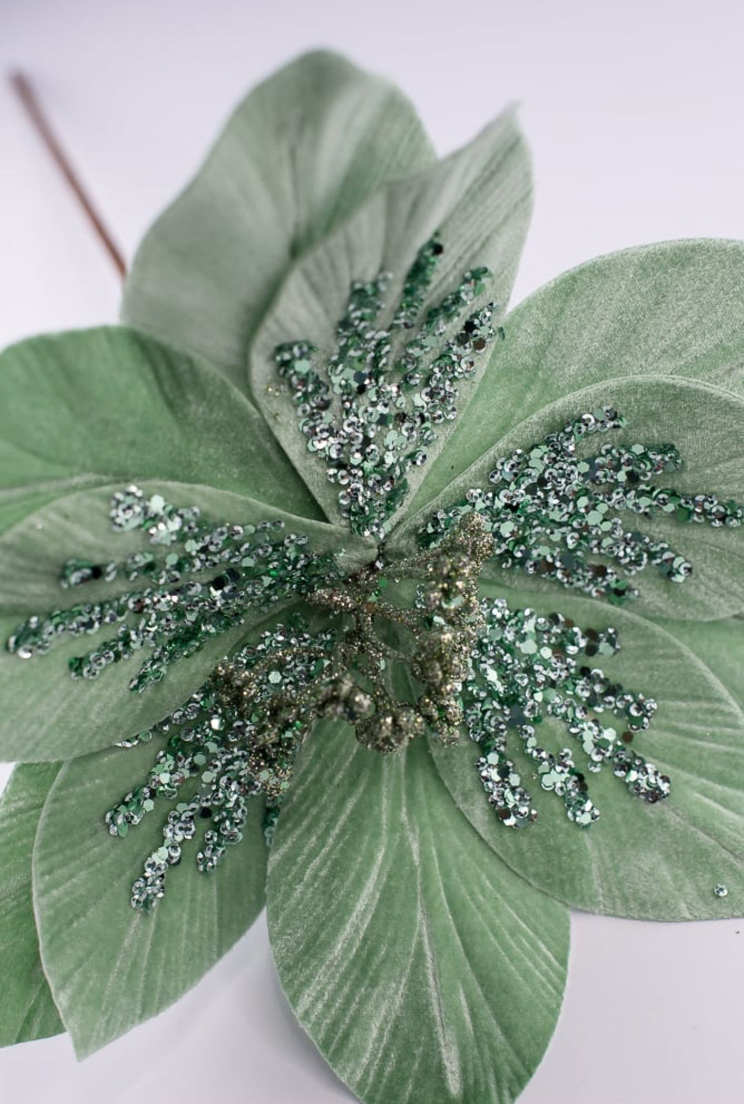 Minty Green velvet poinsettia stem - Greenery MarketXS401574