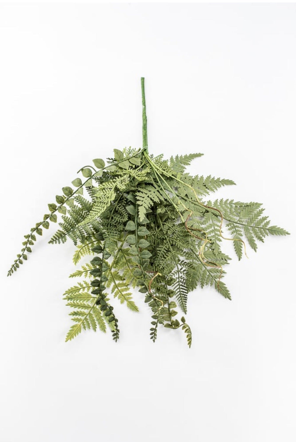 Mixed Fern Bush - 18" - Greenery Market23167