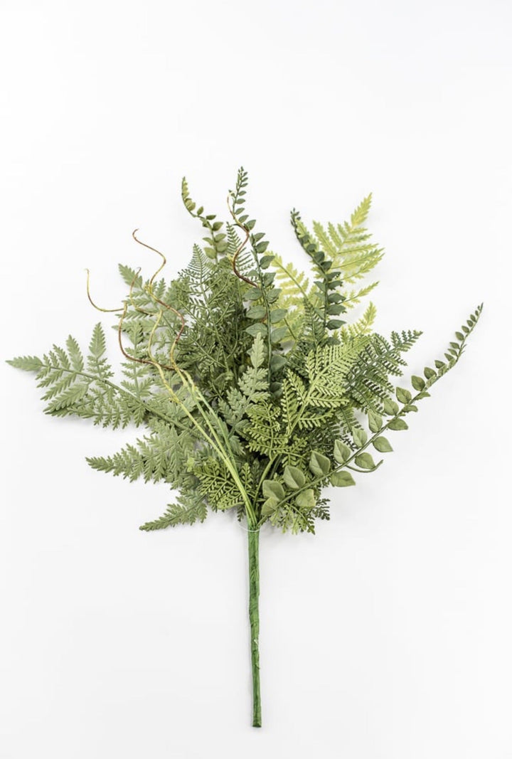 Mixed Fern Bush - 18" - Greenery Market23167