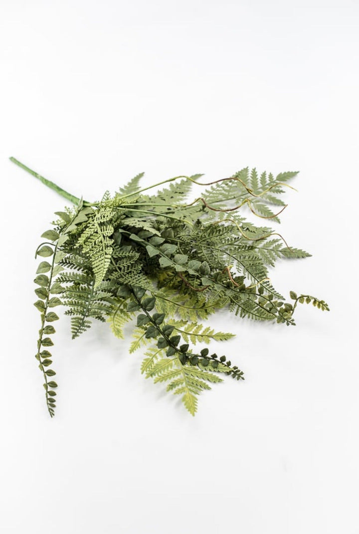 Mixed Fern Bush - 18" - Greenery Market23167