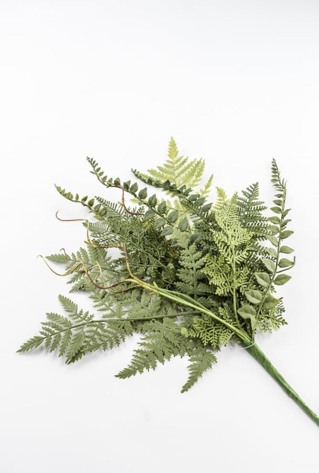 Mixed Fern Bush - 18" - Greenery Market23167