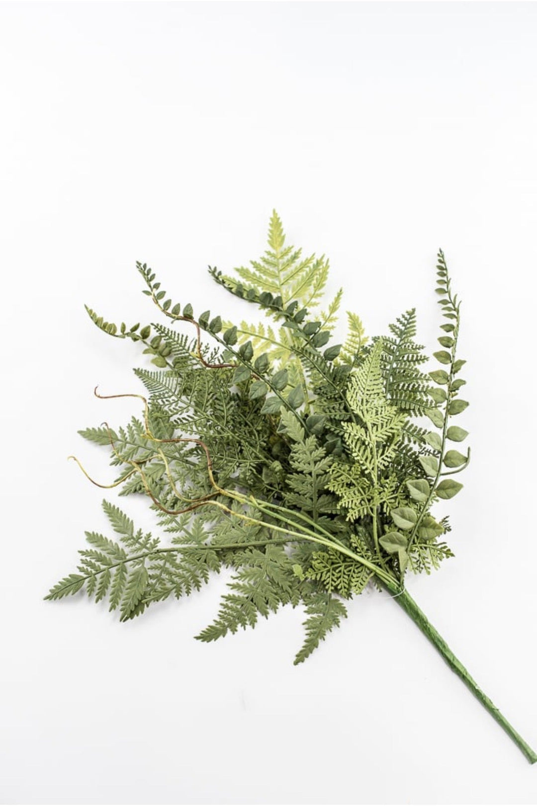 Mixed Fern Bush - 18" - Greenery Market23167