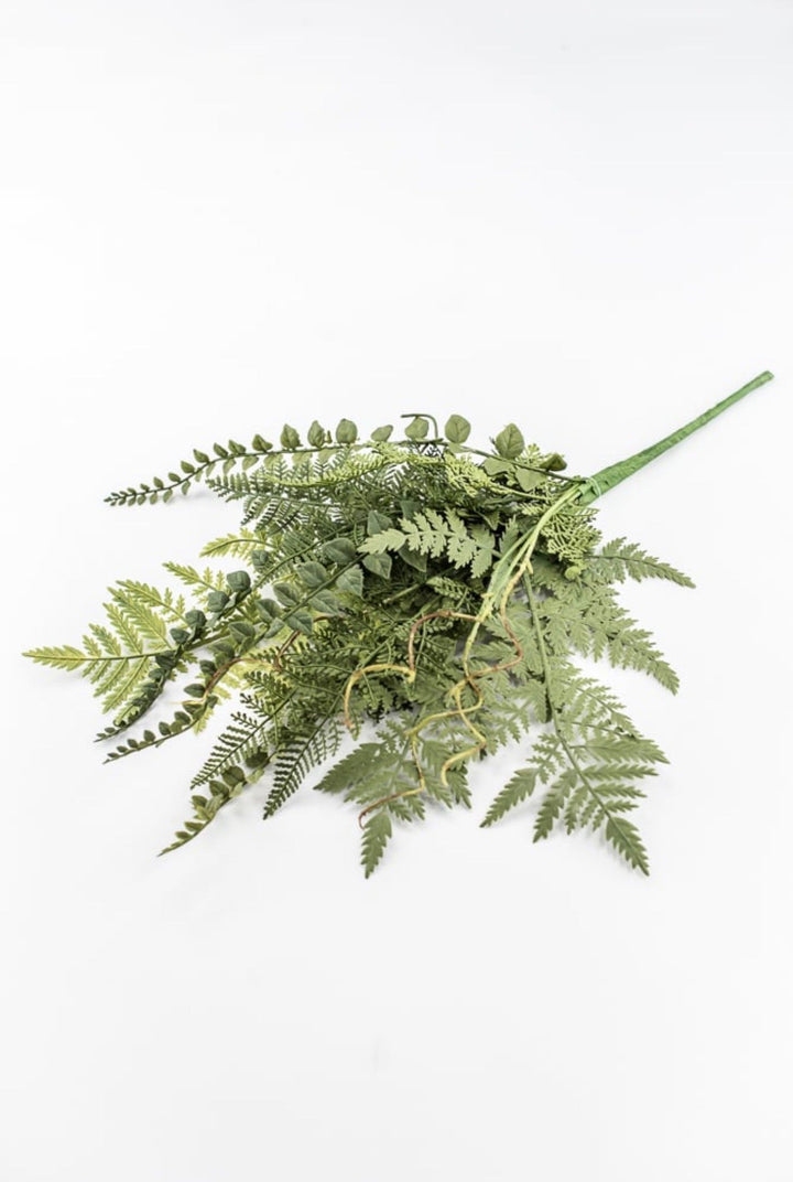 Mixed Fern Bush - 18" - Greenery Market23167