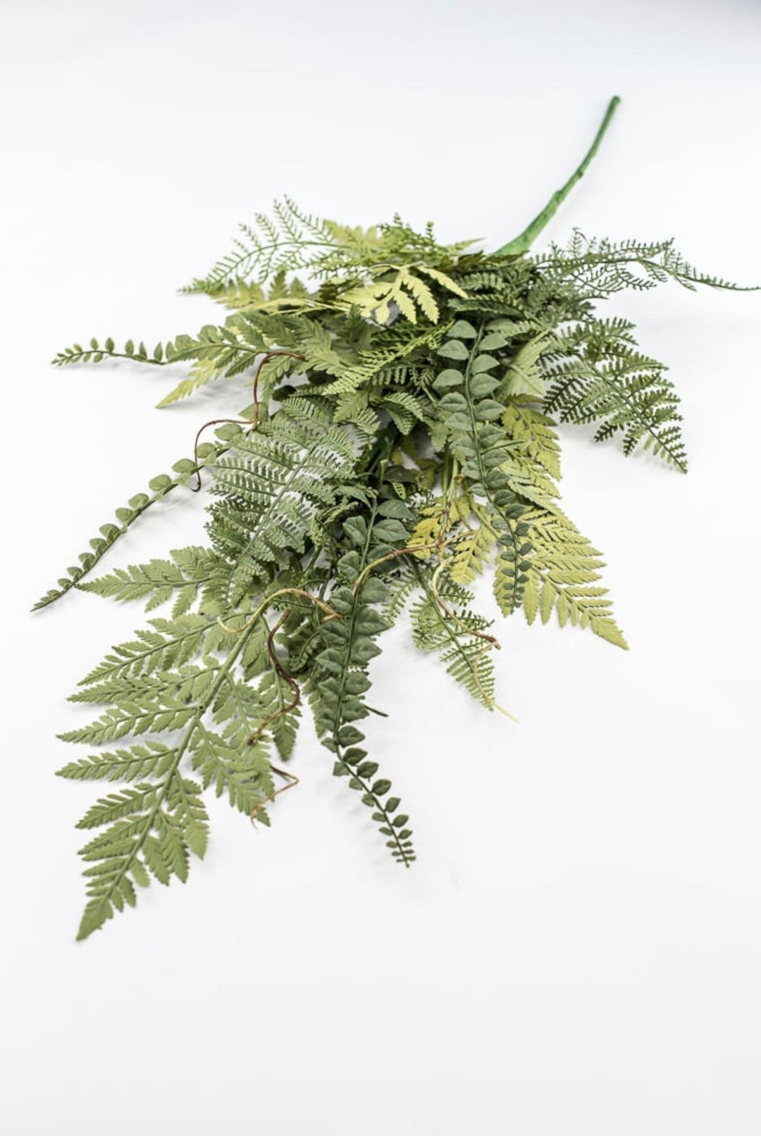 Mixed Fern Spray - 28" - Greenery Market23168