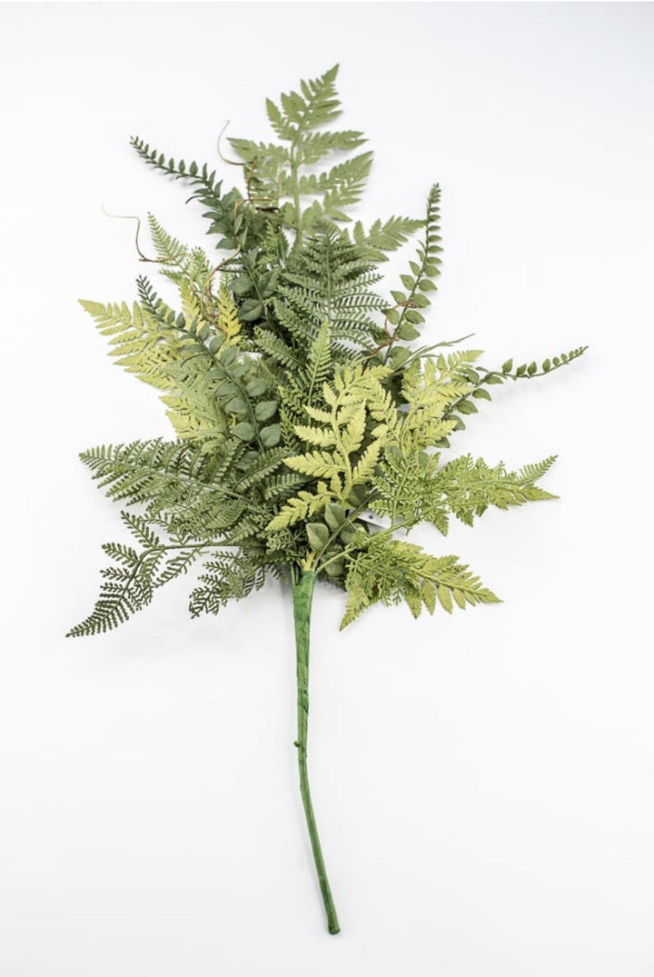 Mixed Fern Spray - 28" - Greenery Market23168