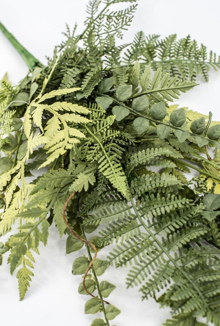 Mixed Fern Spray - 28" - Greenery Market23168