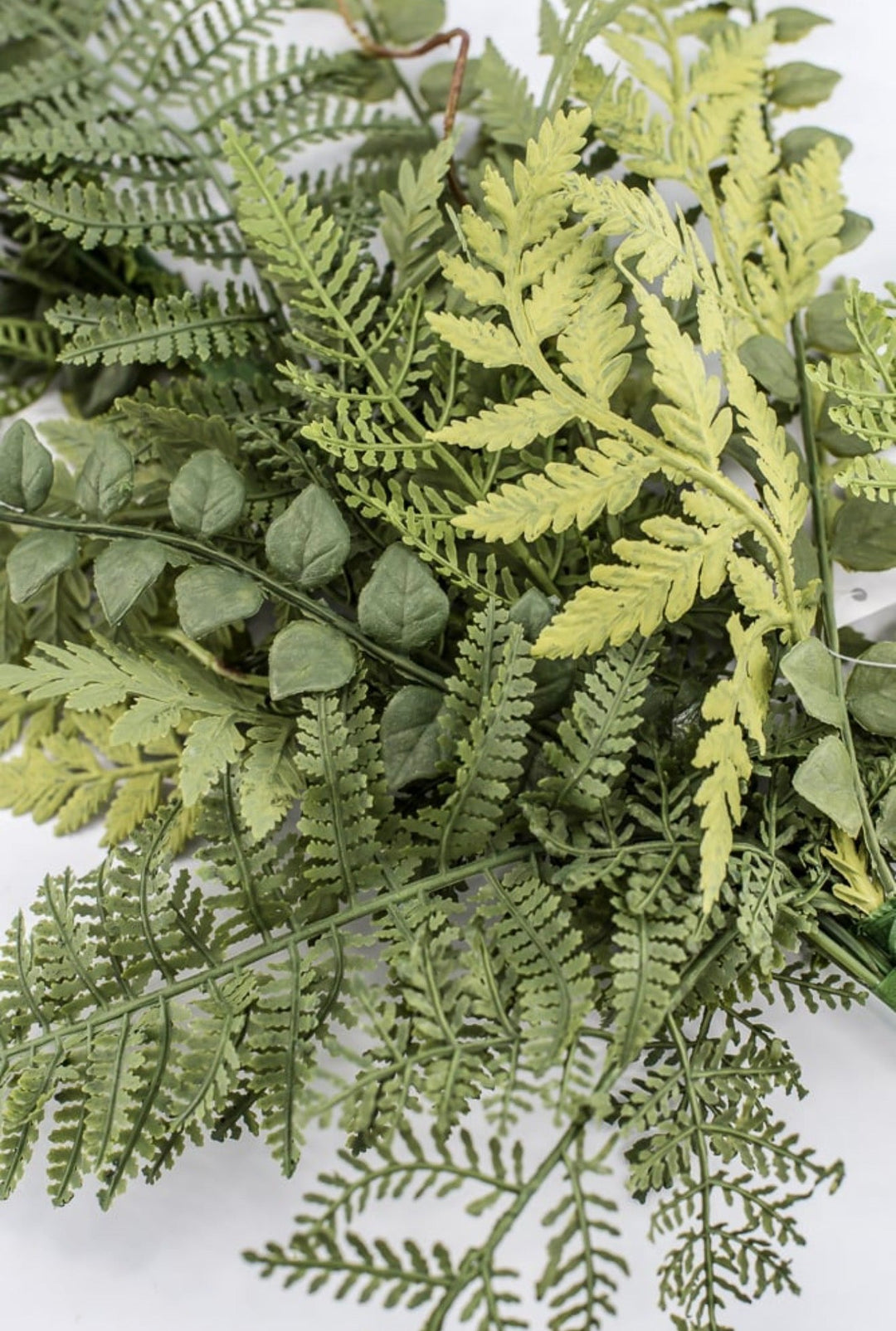 Mixed Fern Spray - 28" - Greenery Market23168