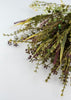 Mixed greenery bush - burgundy- 81132-bg - Greenery Marketgreenery81132-bg