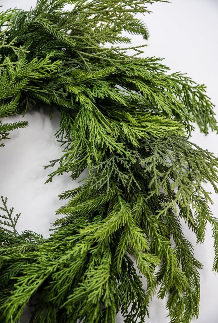 Mixed norfolk and cedar greenery wreath, 26” - Greenery Marketwreath base & containersX1682 - G