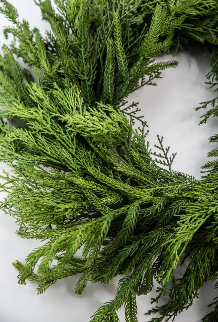 Mixed norfolk and cedar greenery wreath, 26” - Greenery Marketwreath base & containersX1682 - G