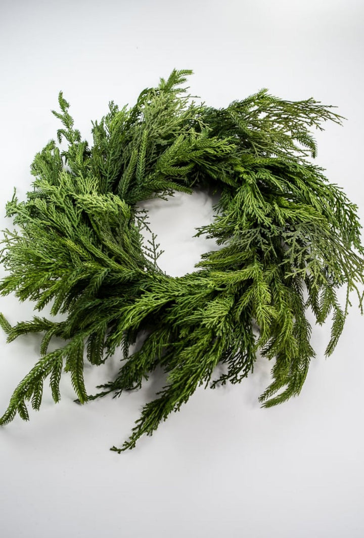 Mixed norfolk and cedar greenery wreath, 26” - Greenery Marketwreath base & containersX1682 - G