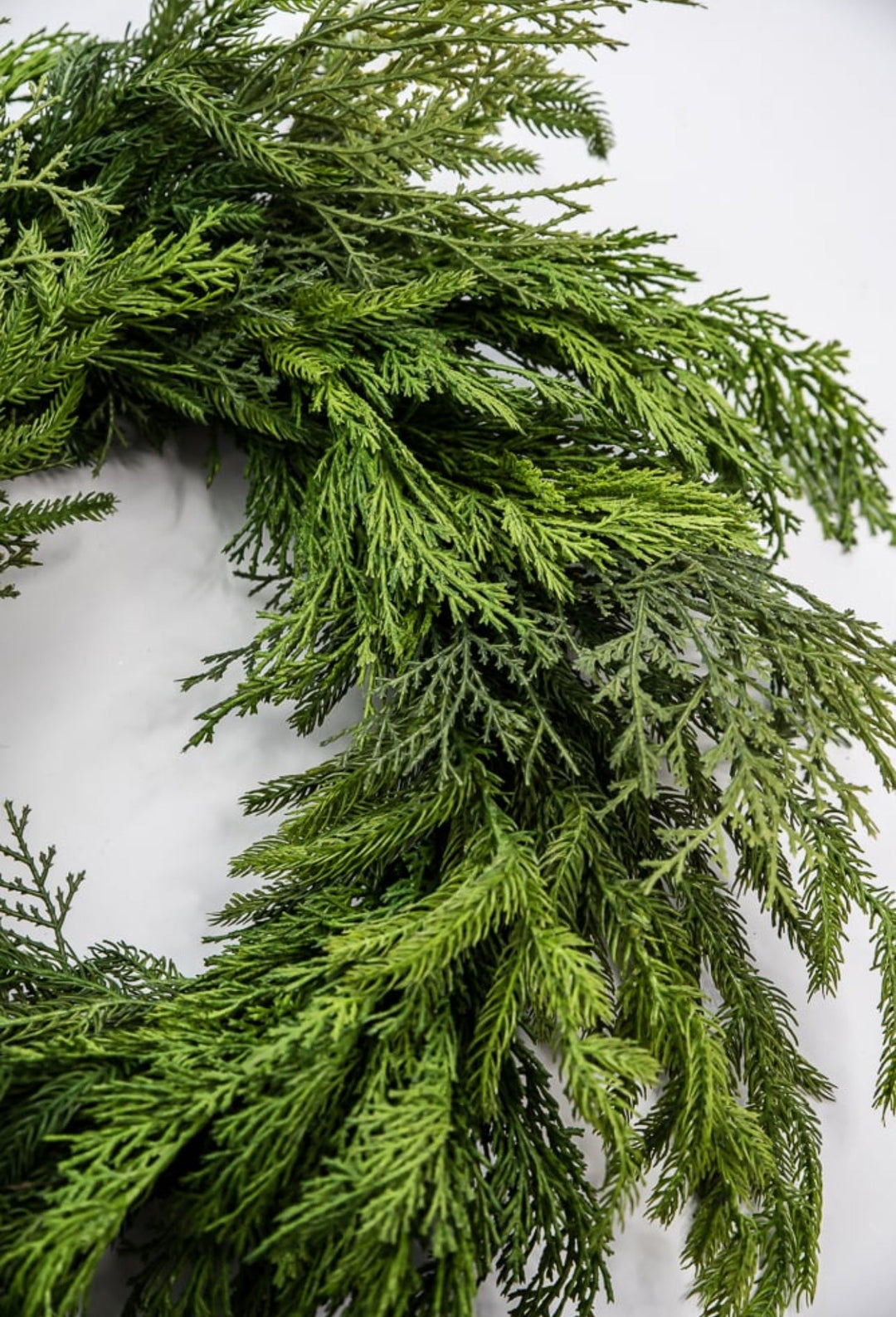 Mixed norfolk and cedar greenery wreath, 26” - Greenery Marketwreath base & containersX1682 - G