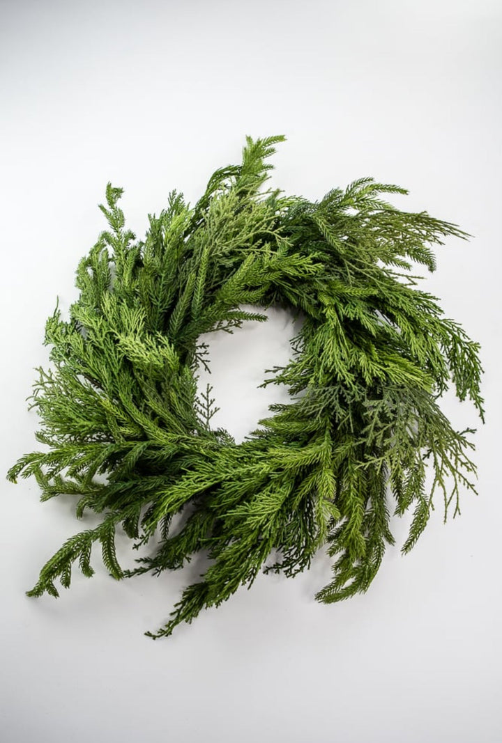 Mixed norfolk and cedar greenery wreath, 26” - Greenery Marketwreath base & containersX1682 - G