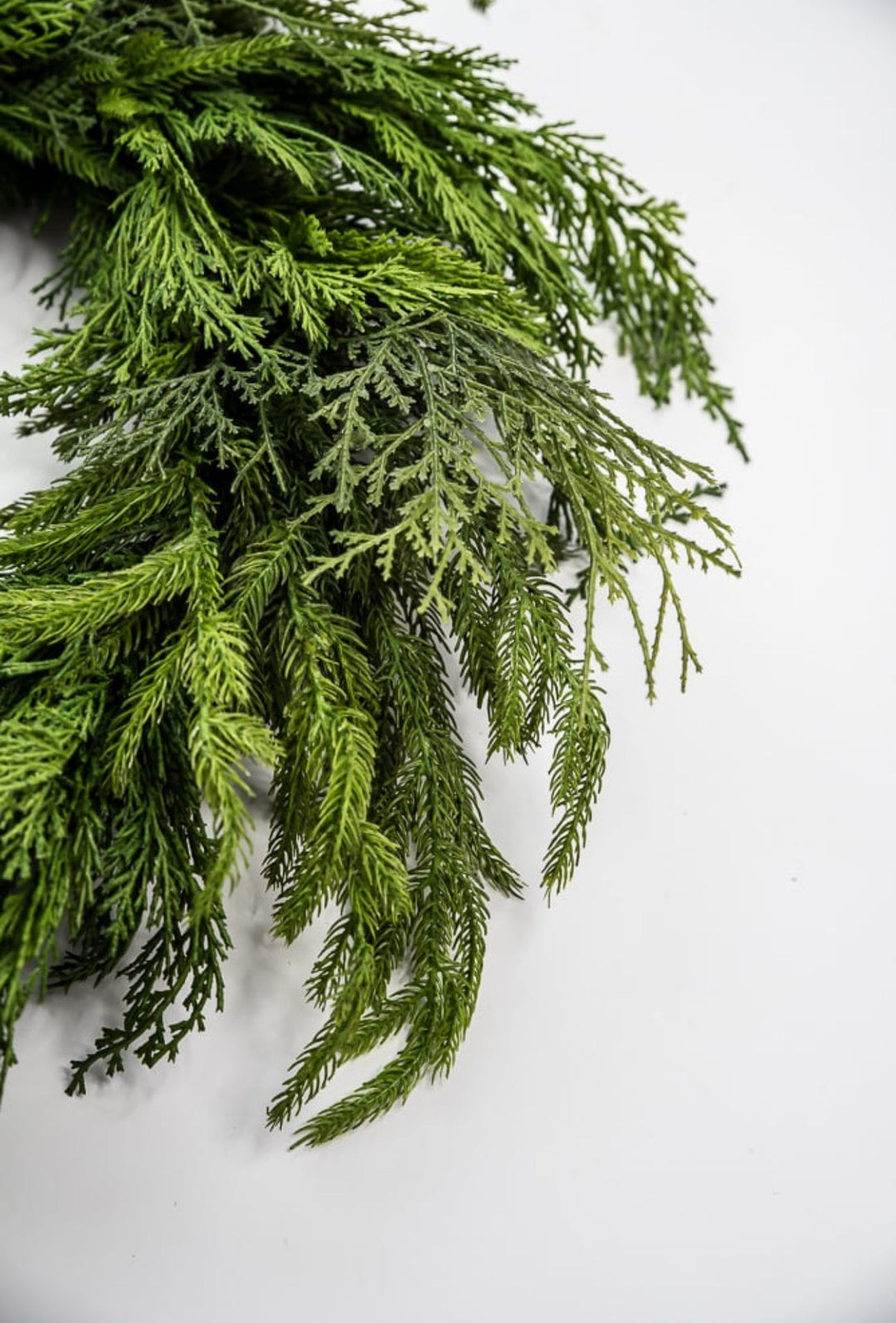 Mixed norfolk and cedar greenery wreath, 26” - Greenery Marketwreath base & containersX1682 - G