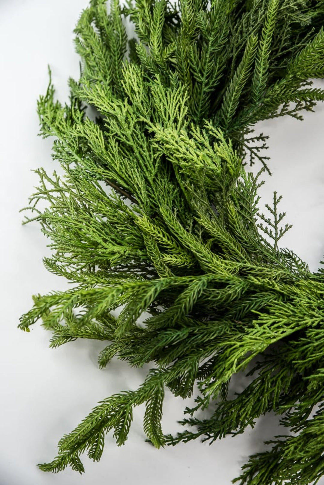 Mixed norfolk and cedar greenery wreath, 26” - Greenery Marketwreath base & containersX1682 - G