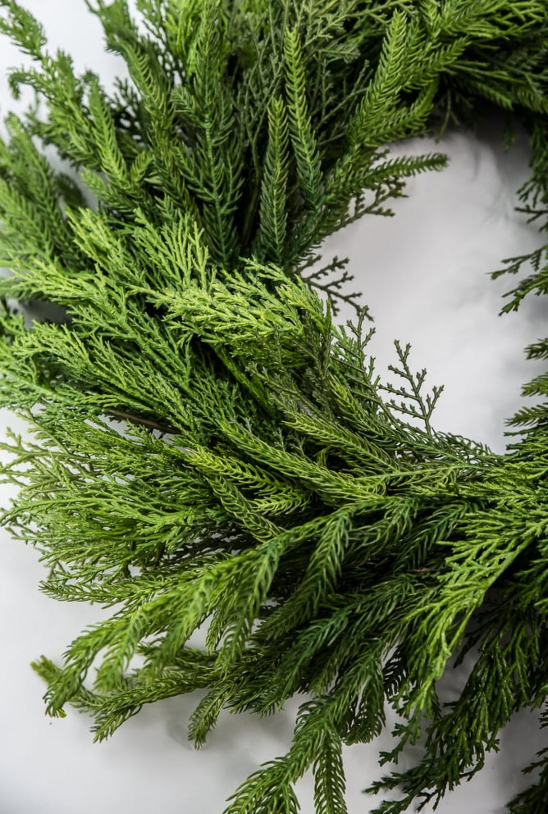 Mixed norfolk and cedar greenery wreath, 26” - Greenery Marketwreath base & containersX1682 - G