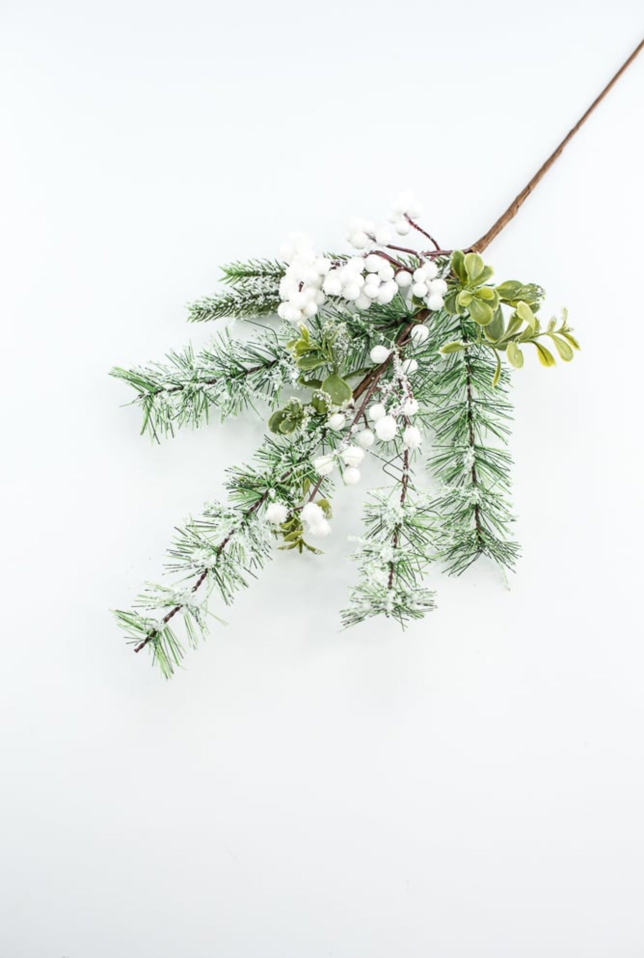Mixed pine with white snowy berries pick - Greenery Market