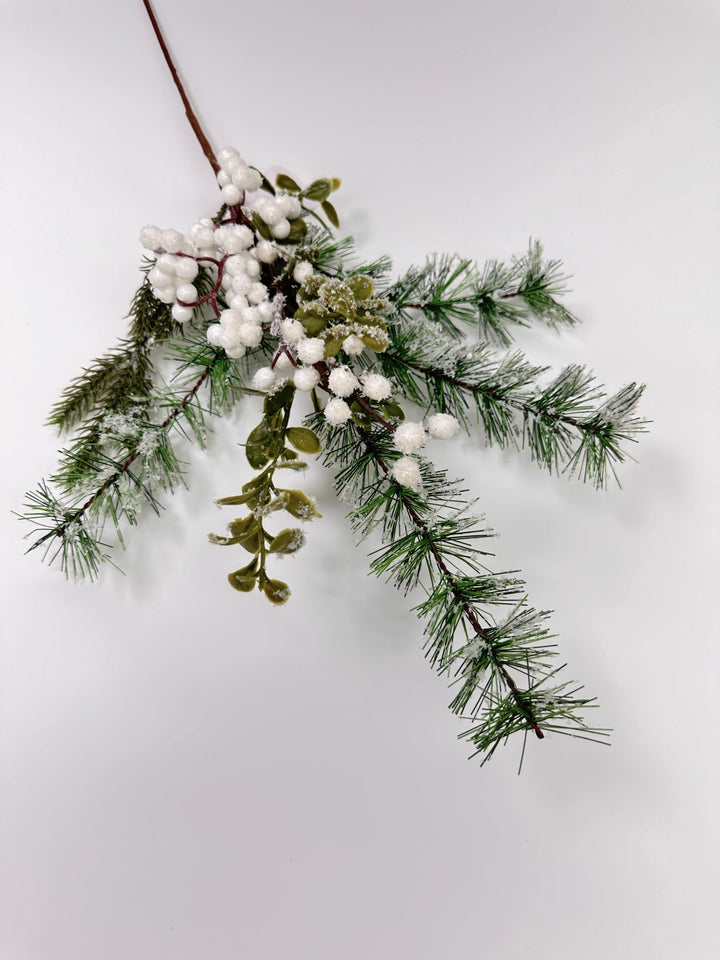 Mixed pine with white snowy berries pick - Greenery Market62612