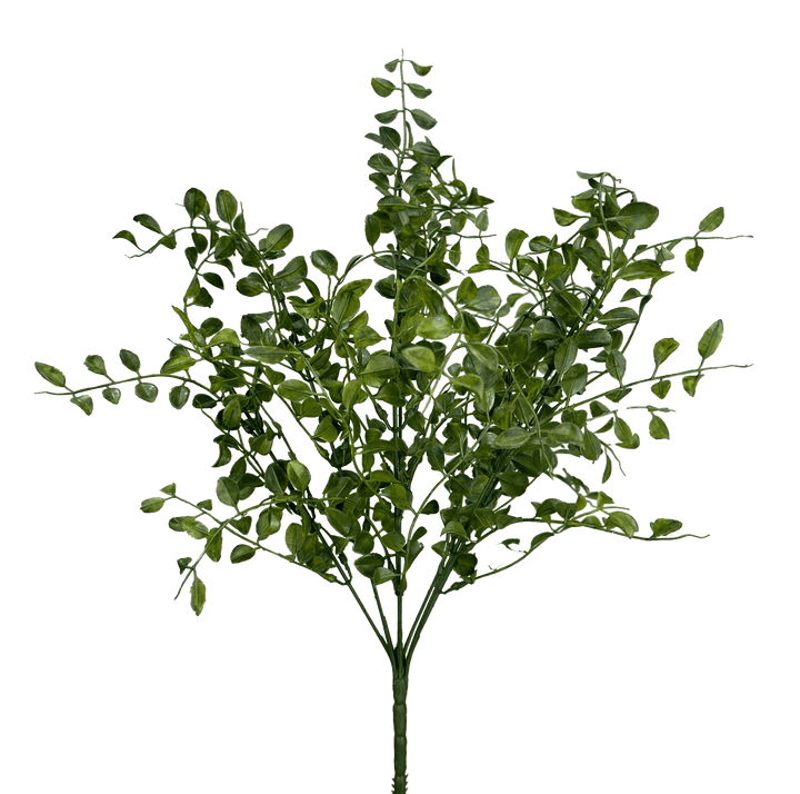 Mock Lime Leaves Bush - Greenery Market13637GN
