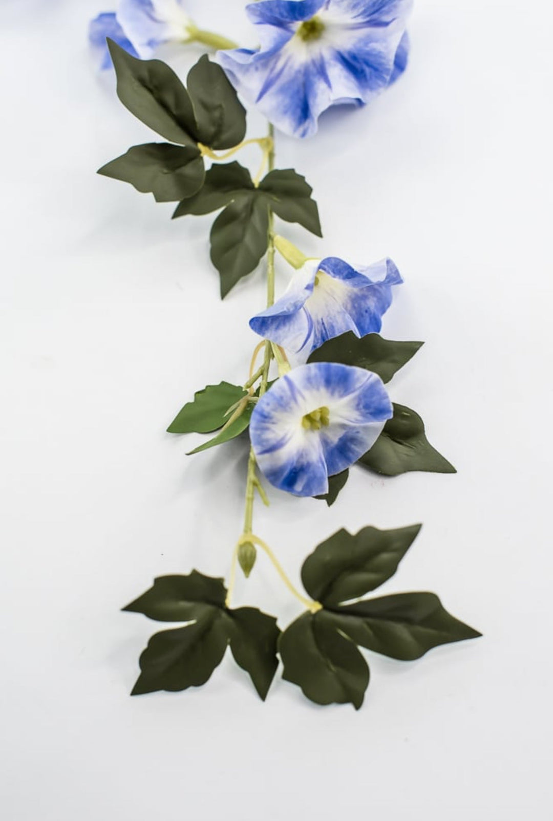 Morning glory spray - 36” - Greenery Market6468 - B