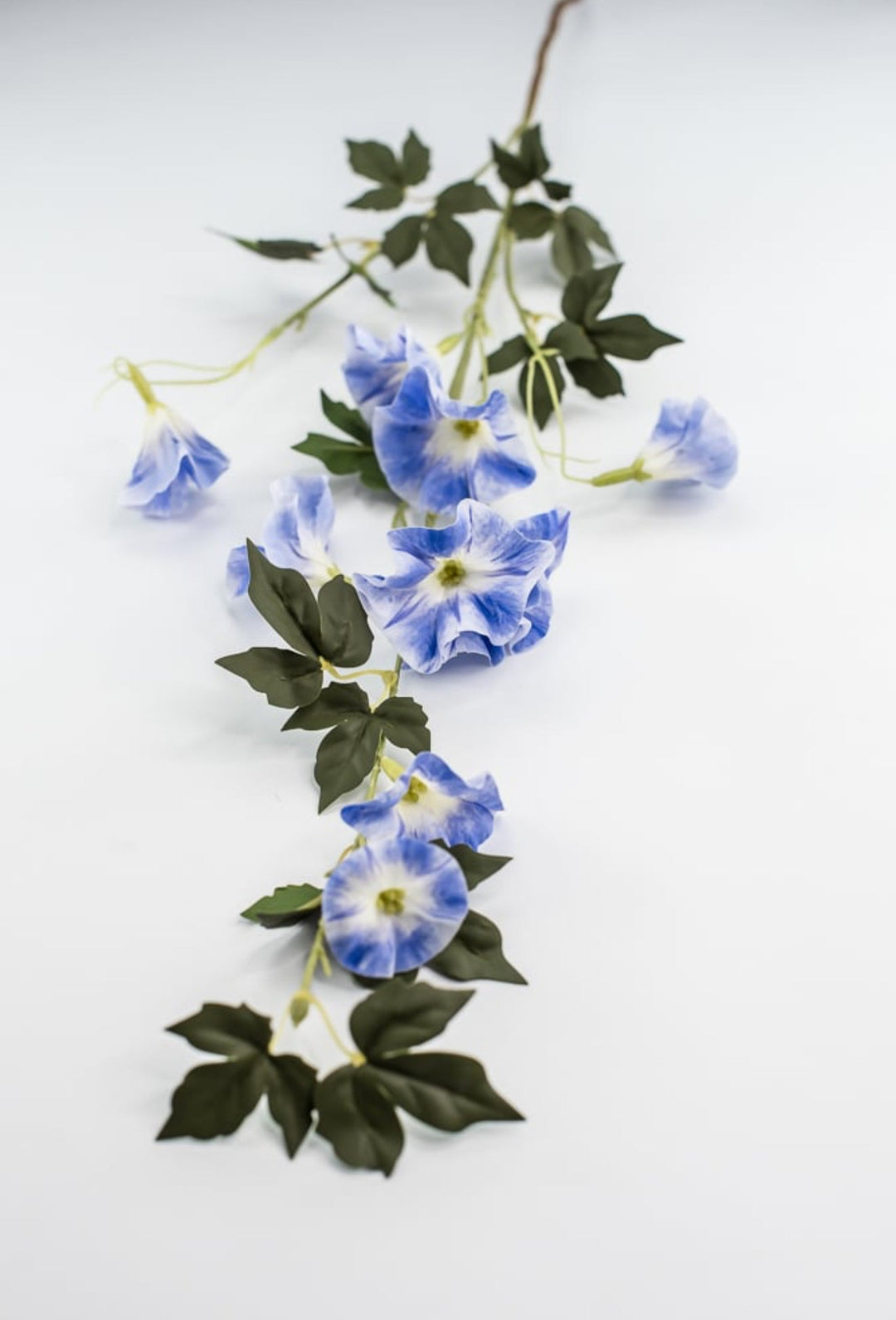 Morning glory spray - 36” - Greenery Market6468 - B