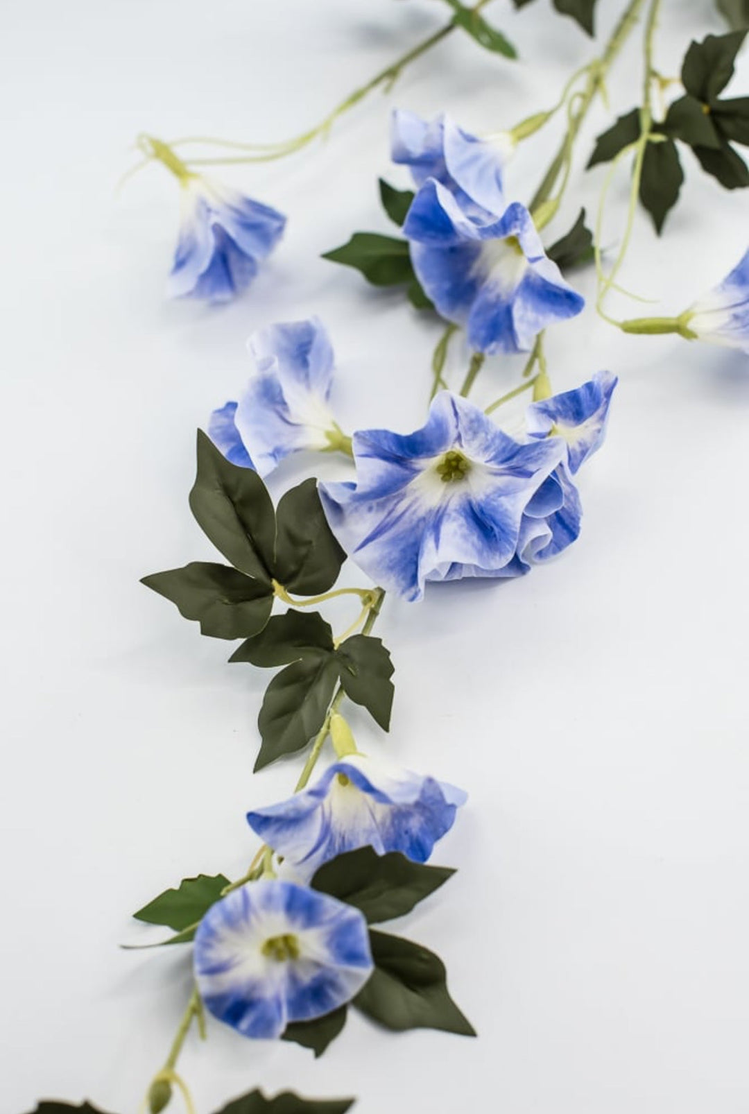 Morning glory spray - 36” - Greenery Market6468 - B