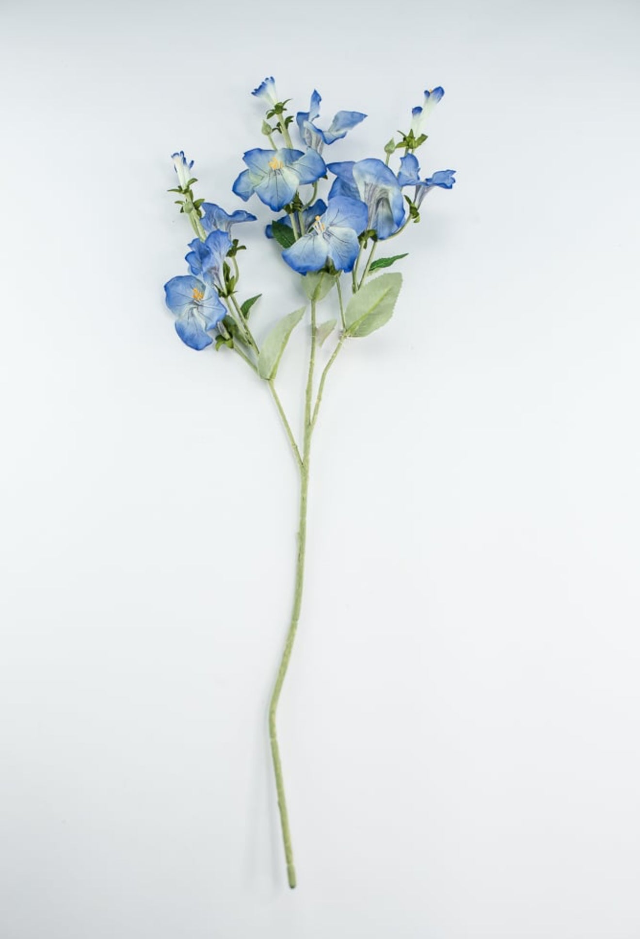 Morning glory spray - blue - Greenery Market