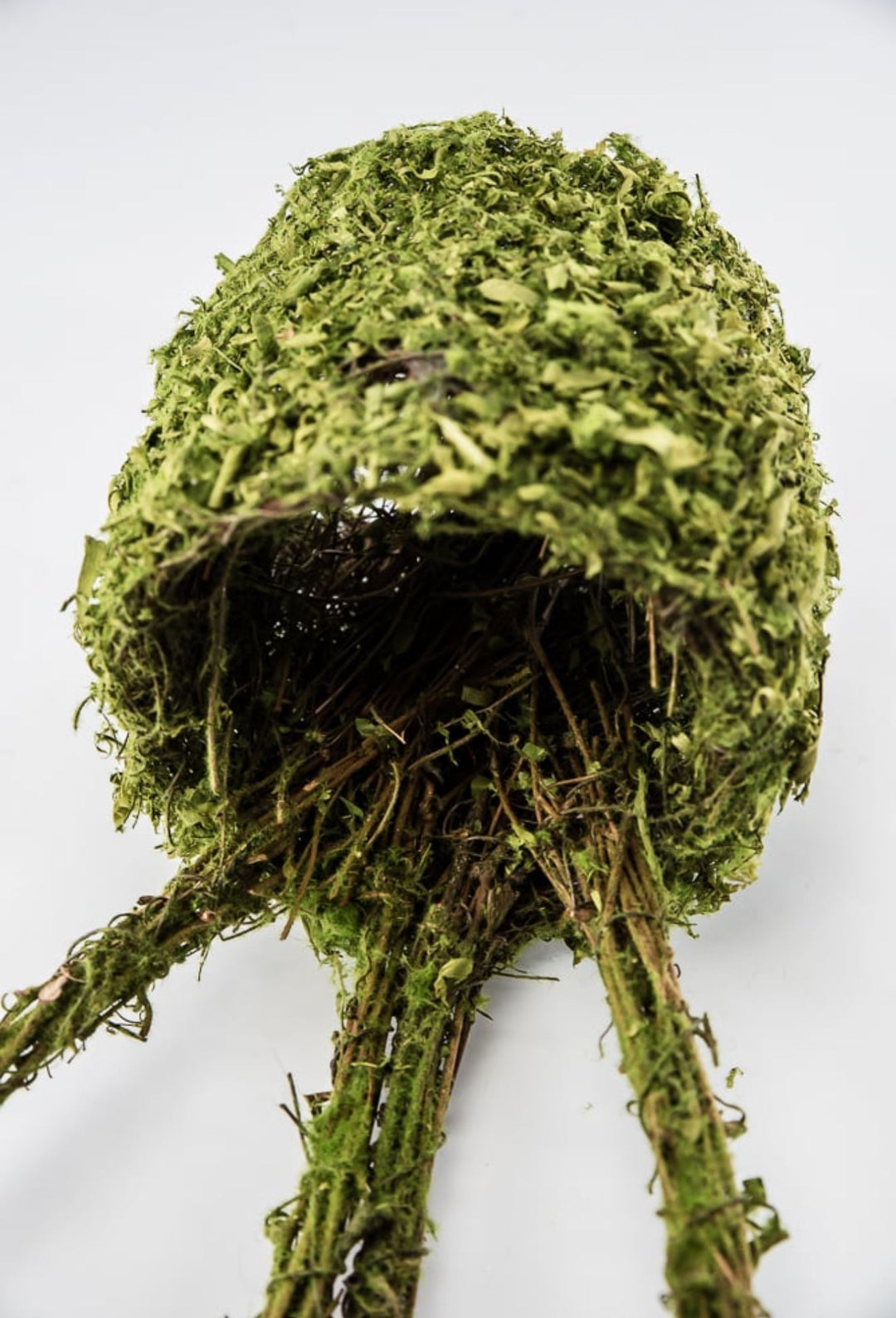 Moss Bunny Ears Basket - Greenery Market63656GN