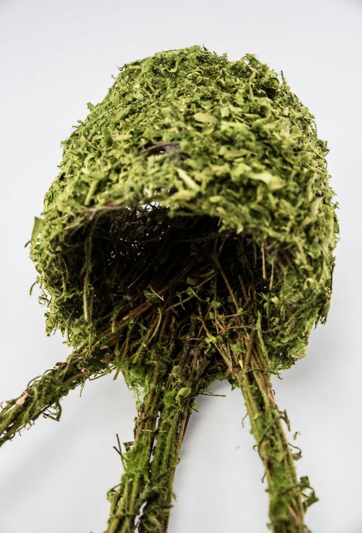 Moss Bunny Ears Basket - Greenery Market63656GN