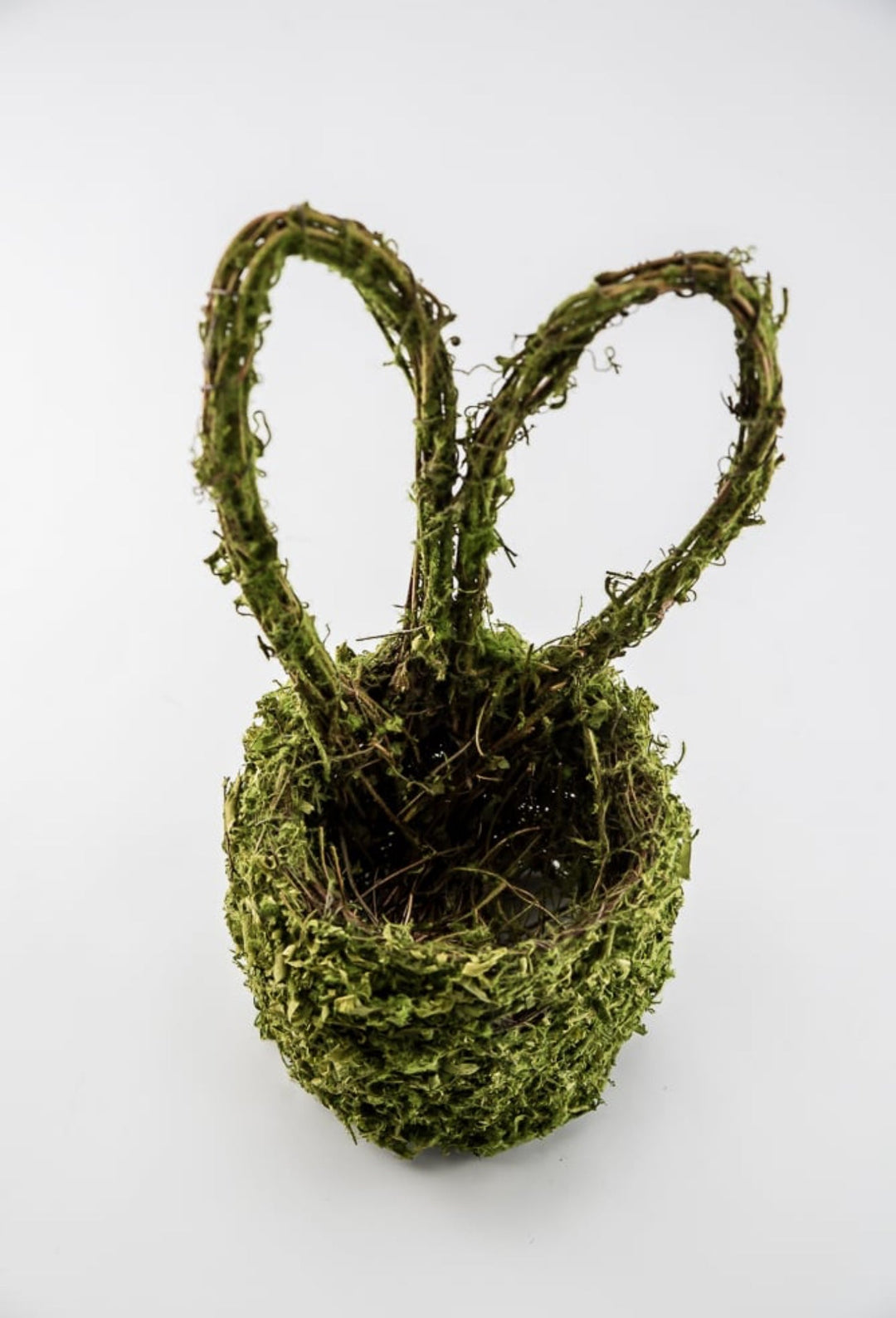 Moss Bunny Ears Basket - Greenery Market63656GN