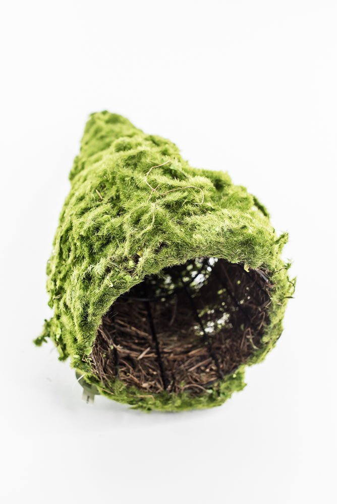 moss cone tree or container 12" green - Greenery Marketwreath base & containersMTF24149