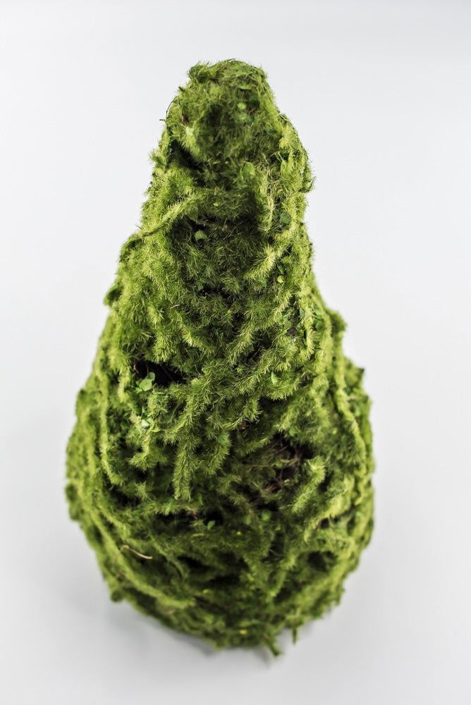 moss cone tree or container 12" green - Greenery Marketwreath base & containersMTF24149