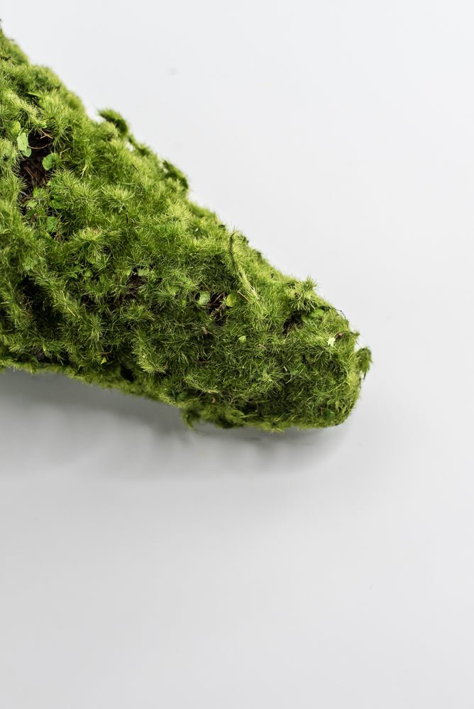 moss cone tree or container 12" green - Greenery Marketwreath base & containersMTF24149