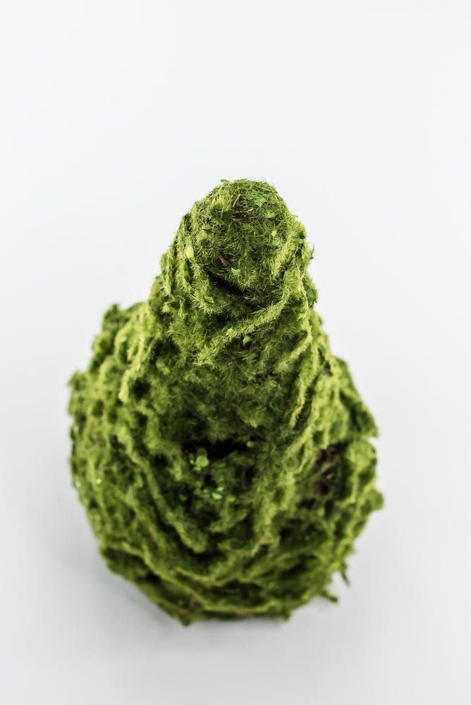 moss cone tree or container 12" green - Greenery Marketwreath base & containersMTF24149