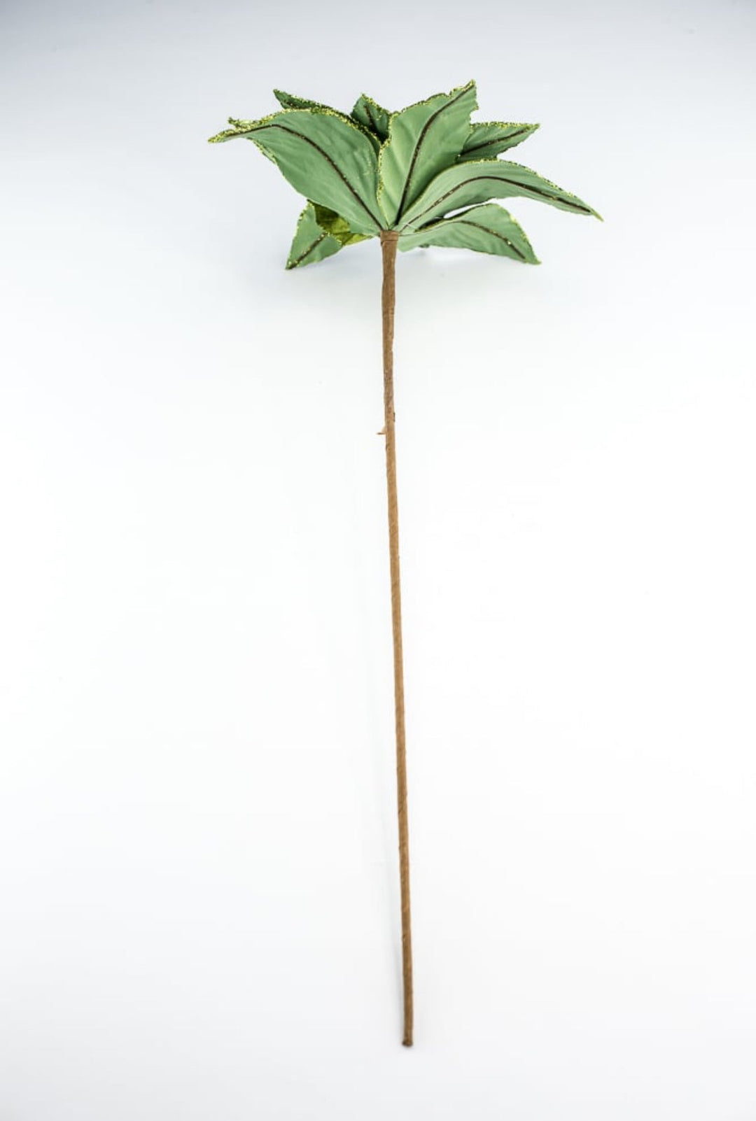 Moss green velvet poinsettia stem - Greenery MarketXS4087A1